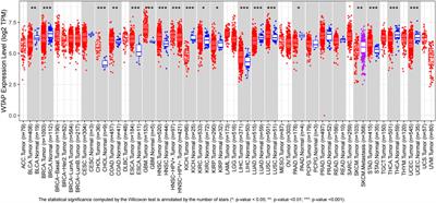 Comprehensive analysis about prognostic and immunological role of WTAP in pan-cancer